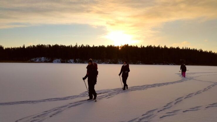 Stockholm: Winter Snowshoe Full-Day Hike - Activity Details