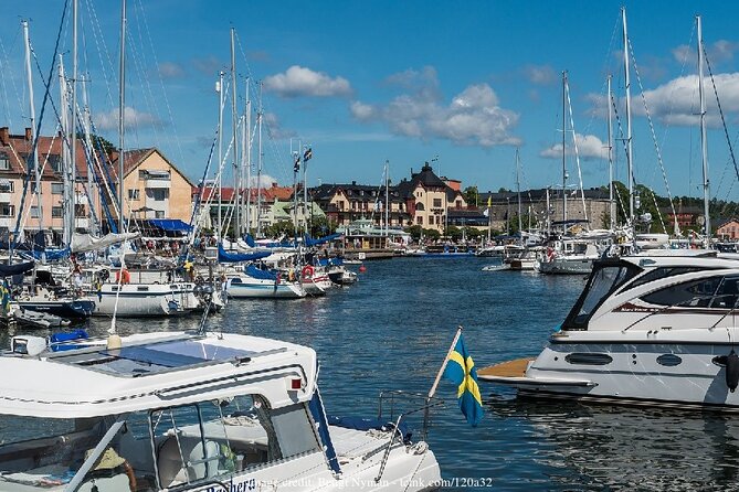 Stockholm'S Viking & Skansen Museums: Private Tour Inc. Tickets - Private Tour: Personalized Experience in Stockholm
