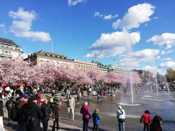 Stockholm:Scandinavian Art, Architecture & Design Experience - Booking and Cancellation Policy