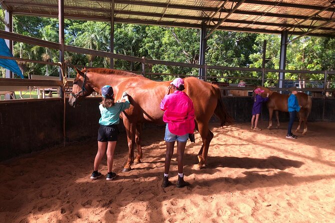 Stockmans Experience in Uralla - Overview and Inclusions
