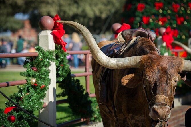 Stockyards Holiday Food & Culture Tour in Forth Worth - A Festive Foodie Journey through Fort Worths Stockyards