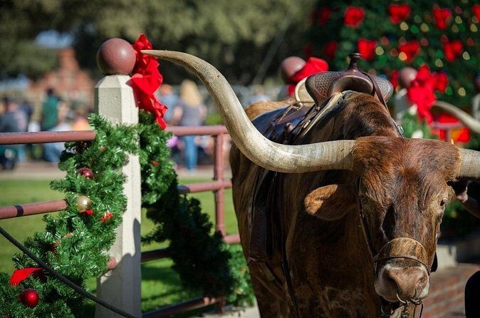 Stockyards Holiday Food & Culture Tour in Forth Worth - Pricing and Value