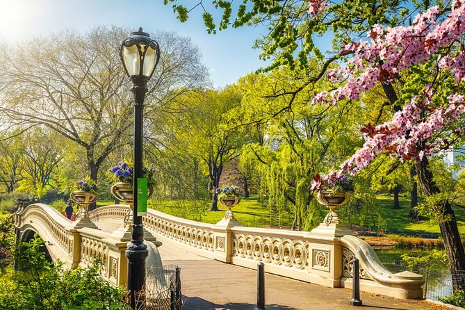 Stolen Archives Outdoor Escape Game: Central Park New York - Start Time and Opening Hours