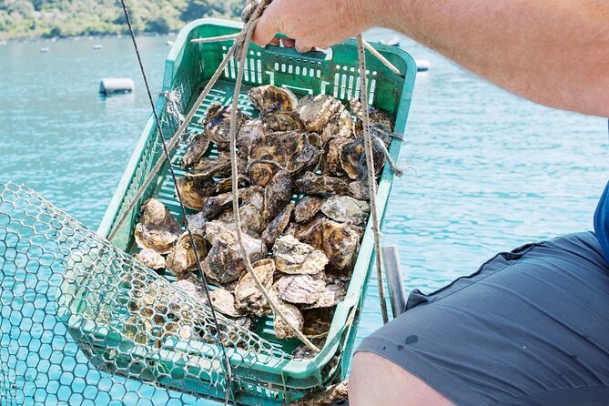 Ston Gastro Tour - Directions