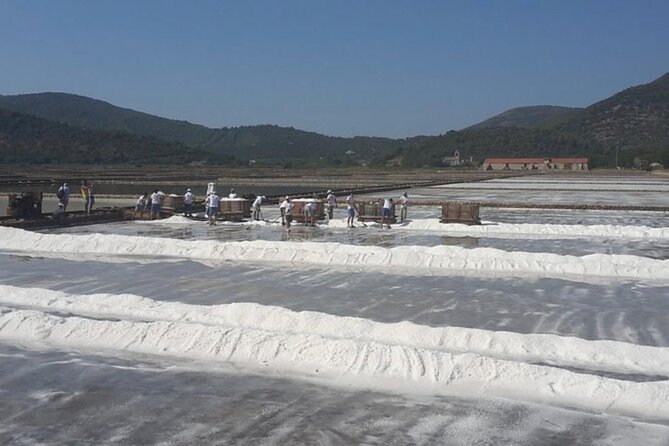 Ston Gastro Tour - Contact Information