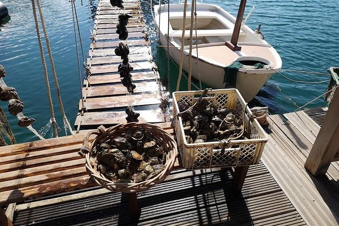 Ston Gastro Tour - Frequently Asked Questions