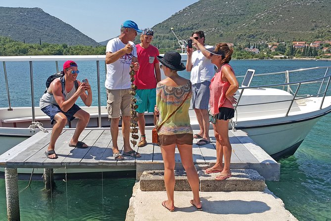 Ston Oyster Tasting Tour From Dubrovnik - Additional Info