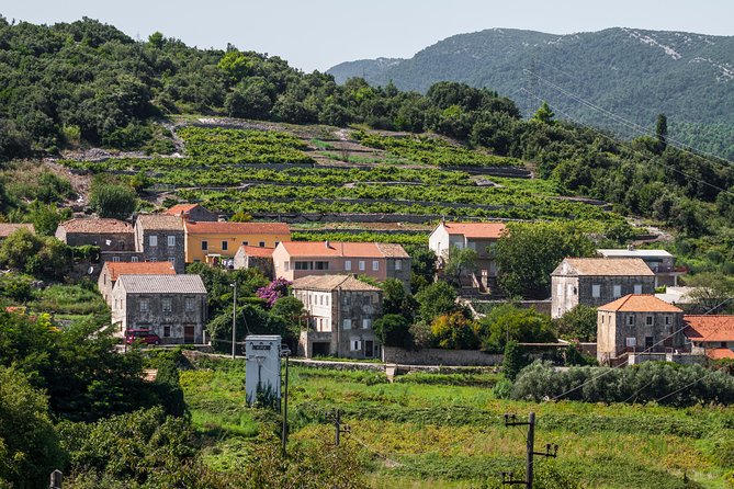 Ston Oyster Tasting Tour From Dubrovnik - Cancellation Policy