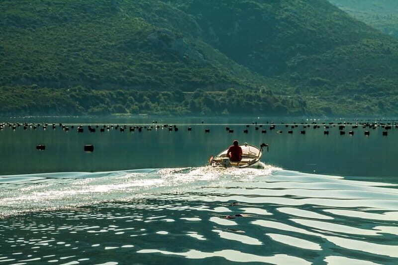 Ston Oyster & Wine Tasting Private Tour From Dubrovnik - Good To Know
