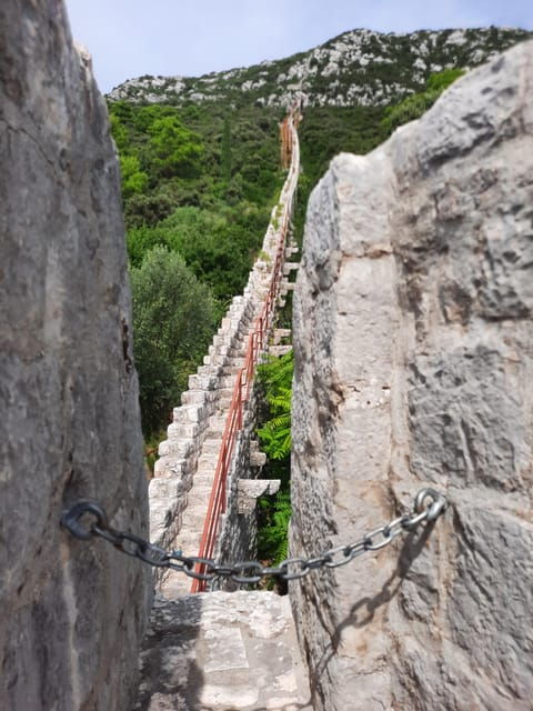 Ston: Private White Gold Tour With a Wall Climb - Authentic Insights from Past Travelers