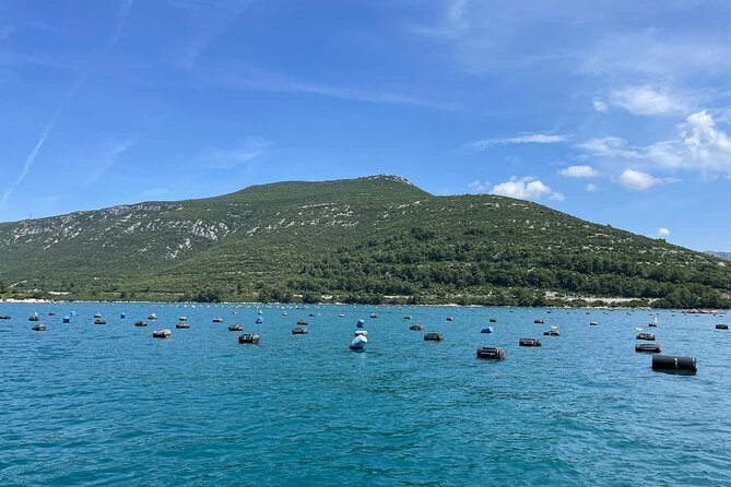 Ston Seafood & PelješA Wine Boat Tour With Oysters and Mussels - Inclusions and Exclusions