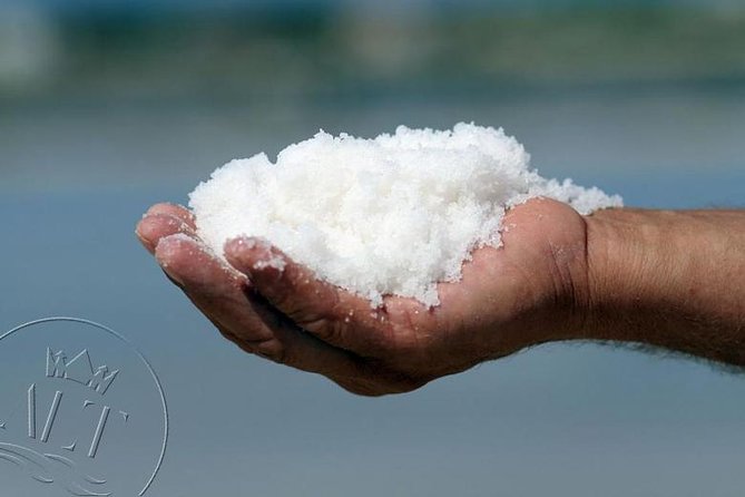 Ston & Trsteno Arboretum - Private Excursion From Dubrovnik W/ Mercedes Vehicle - Customer Reviews