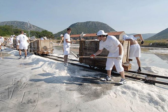 Ston & Trsteno Arboretum - Private Excursion From Dubrovnik W/ Mercedes Vehicle - Booking Details