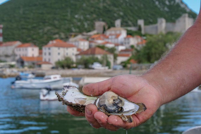 Ston With Wine Tastings at Peljesac Peninsula Full Day Tour! - The Sum Up