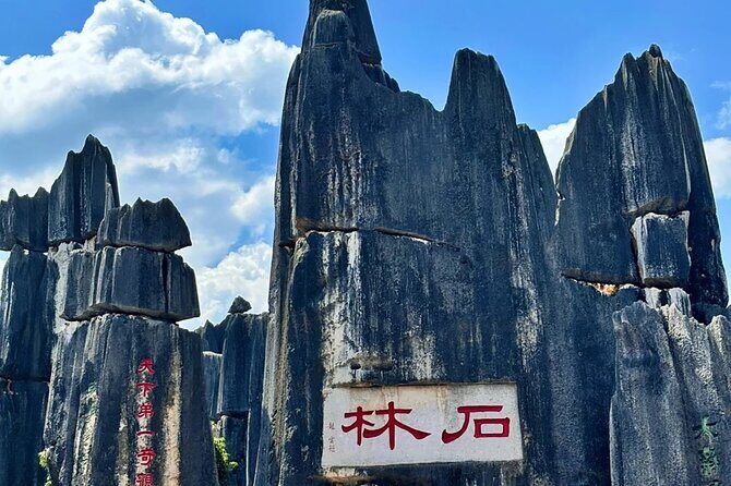 Stone Forest + Yiliang Roast Duck + Kunming City Private Tour - Why This Tour Offers Great Value