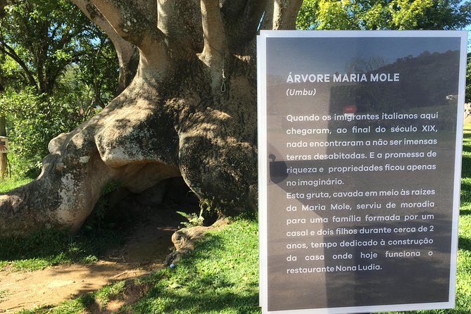Stone Paths Tour in Bento Gonçalves RS - Tour Highlights
