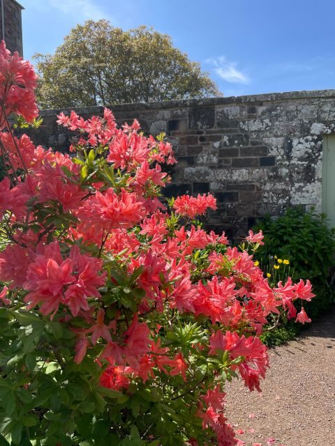 Stone & Story: Rosslyn Chapel & Melrose Abbey Day Trip - An In-Depth Look at the Itinerary