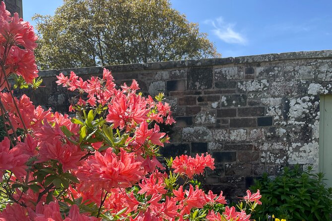 Stone & Story: Rosslyn Chapel & Melrose Abbey Private Day Trip - Reviews