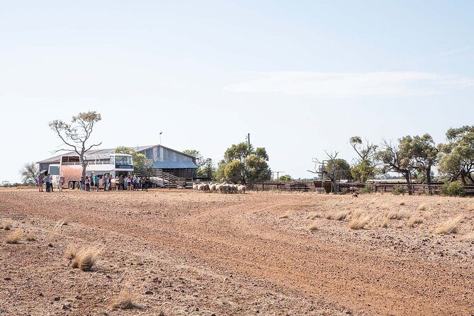 Stonegrill Dining Experience - Frequently Asked Questions