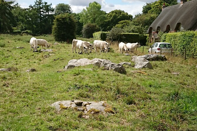 Stonehenge, Avebury, and West Kennet Long Barrow From Salisbury - Reasons to Choose This Tour