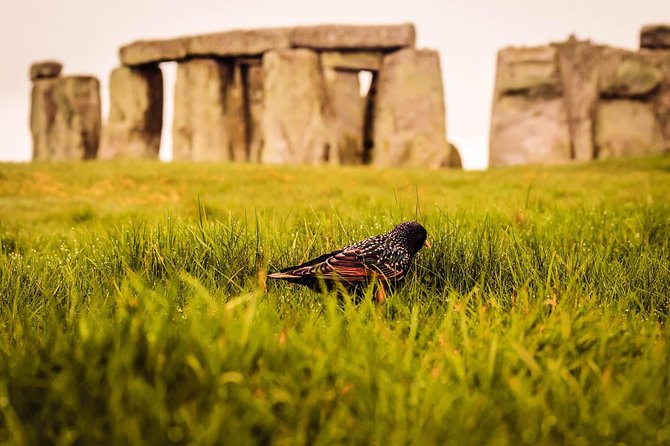 Stonehenge Tour From Heathrow or Southampton - Tour Overview