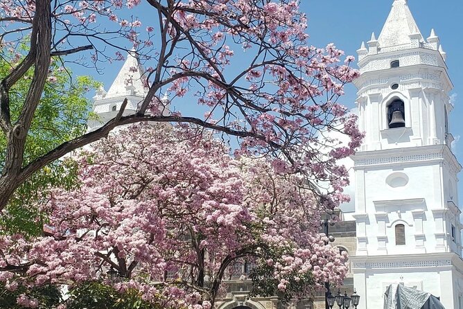 Stopover Tour in Panama: City and Canal - Duration and Hours