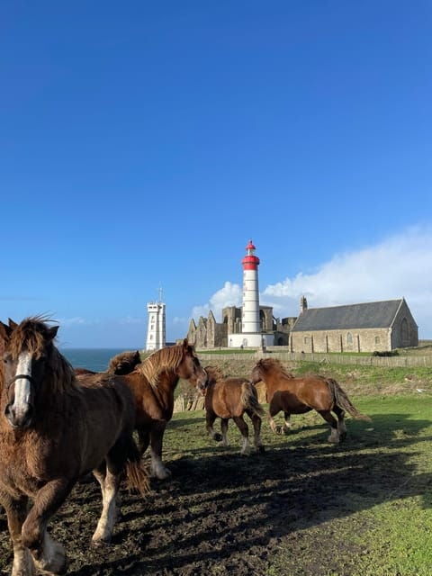 Stories & Legends of Saint Mathieu - Plougonvelin, Brittany - Insights From Our Guides