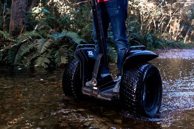 Storms Rivier 1-Hour Guided Segway Experience  - Tsitsikamma National Park - Selecting Date and Travelers