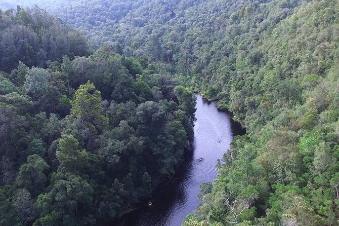 Stormsrivier Private Plaatbos Reserve Water Tour  - Tsitsikamma National Park - The Sum Up