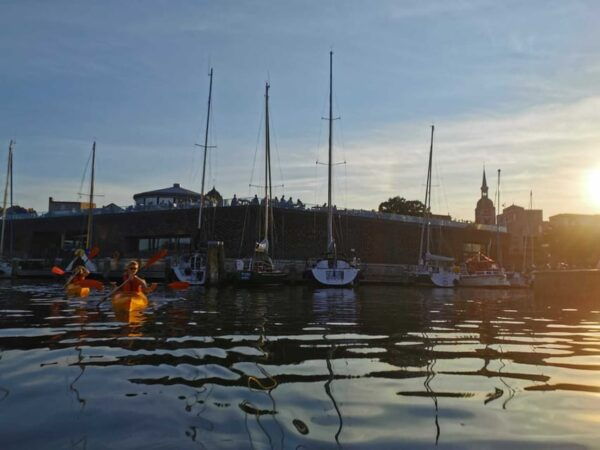 Stralsund: 2-Hour Guided Kayak Tour - Safety Guidelines