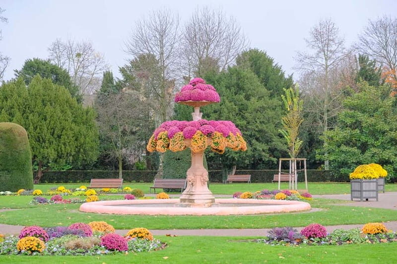 Strasbourg: 1.5-Hour Guided Segway Tour - The Practicalities