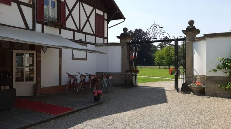 Strasbourg: 1-Day Bike Rental - Experience Highlights