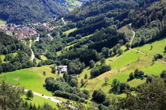 Strasbourg: Black Forest and Baden Baden Day Trip - Customer Feedback