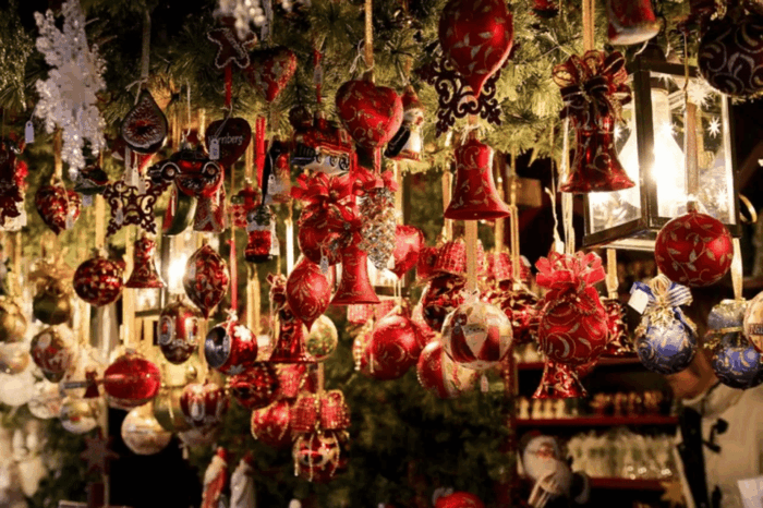 Strasbourg: Christmas Market and City 3 Hour Walking Tour - Scenic Views at Covered Bridges and Vauban Dam