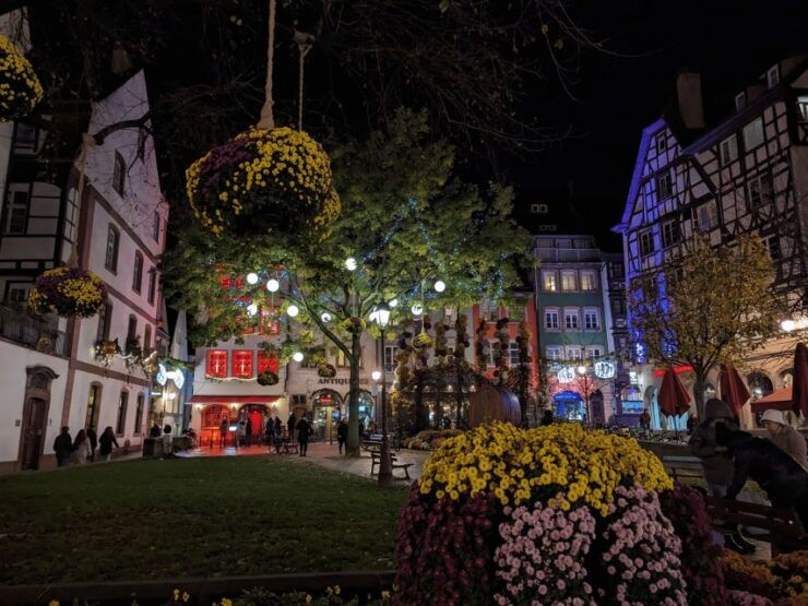 Strasbourg: Christmas Market by Night With Mulled Wine - Tour Highlights