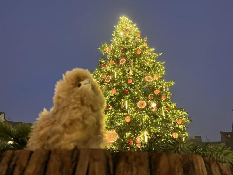 Strasbourg: Christmas Walking Tour With Mulled Wine - Highlights of the Tour