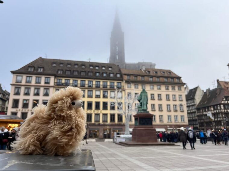 Strasbourg: Christmas Walking Tour With Mulled Wine - Tasting Alsatian Holiday Delights