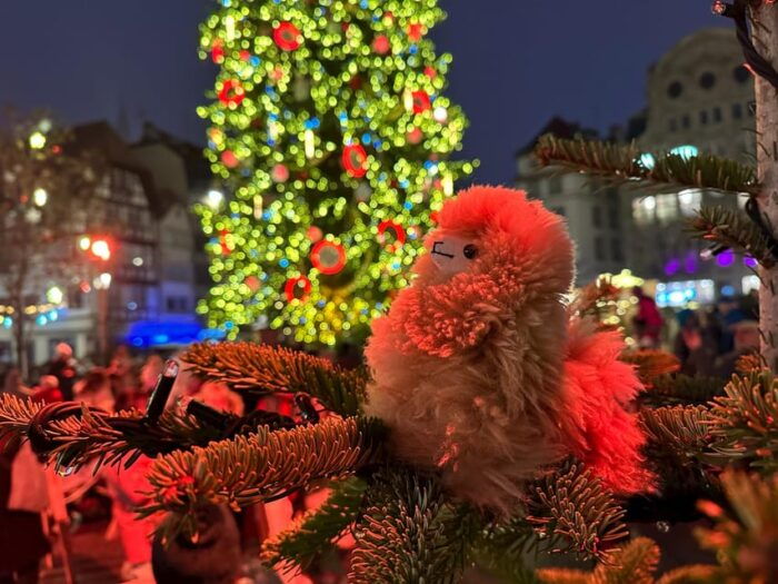 Strasbourg: Christmas Walking Tour With Mulled Wine - Booking Your Christmas Experience
