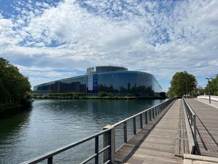 Strasbourg : European District Walking Tour - Experience