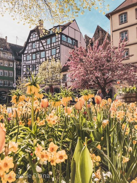 Strasbourg: Gastronomic and Walking Tour in the Old Town - Culinary Delights of Alsace