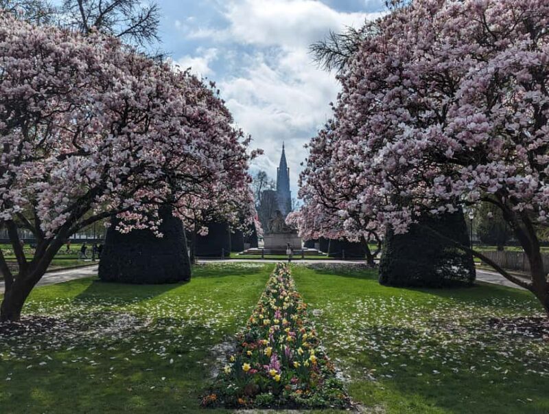 Strasbourg : guided walking tour through the wars 1871-1945 - Practical Details and Tips