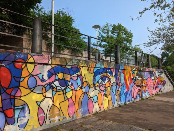 Strasbourg : Street-Art Tour - Activity Details