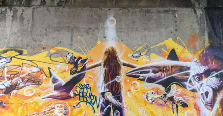 Strasbourg : Street-Art Tour - Experience Highlights