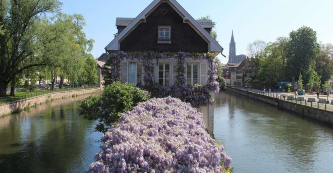 Strasbourg: Walking Tour With Local Guide - Inclusions