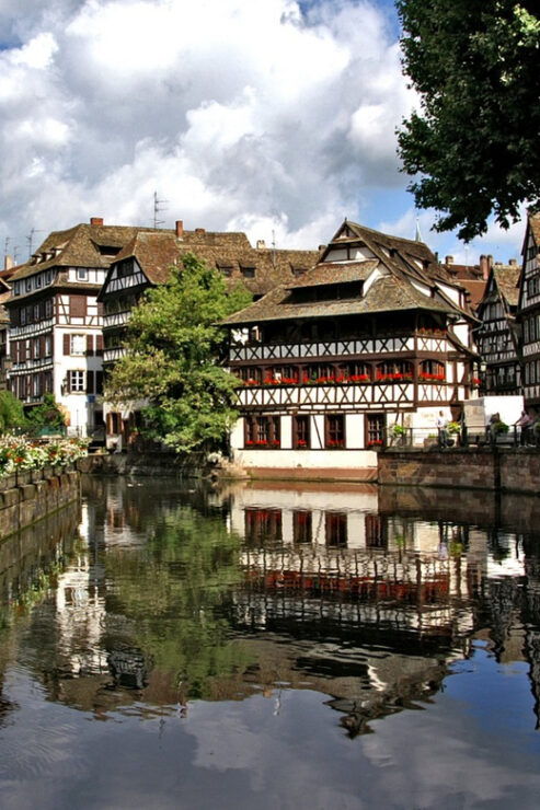 Strasbourg : Wine Tour by Bike With a Local - Key Points