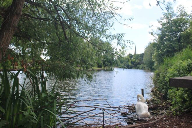 Stratford-upon-Avon: Shakespeare & Hathaway TV Sites Tour - Full Description