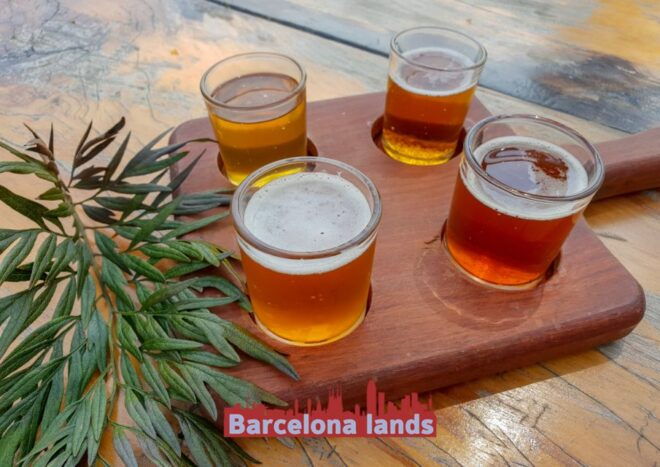 Strawberries and Beers Tour in Maresme - Overall Experience