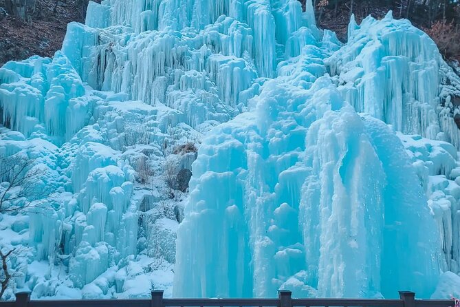 Strawberry & Eobi Valley & Nami Island & Garden of Morning Calm - Strawberry Picking at Local Farms
