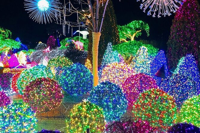 Strawberry & Eobi Valley & Nami Island & Garden of Morning Calm - Common Questions