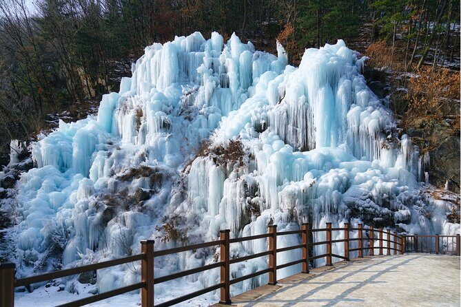 Strawberry Picking, Snow Sledding in Eobi Valley and Sheep Ranch - The Itinerary in Detail: What to Expect